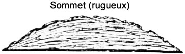 Dessin de Smith représentant son observation de 1947