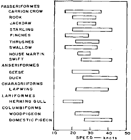 Figure 5 : Diagramme de vitesse aérienne des oiseaux