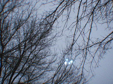 2ᵉ photographie